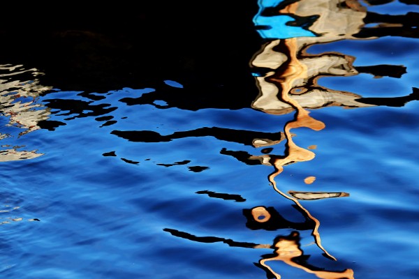 Gold In Motion by Deb Oppermann